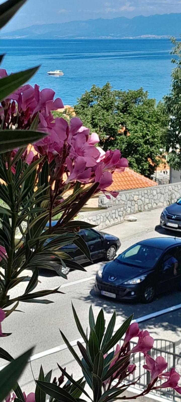 Apartment Danica Sveti Juraj Exteriör bild
